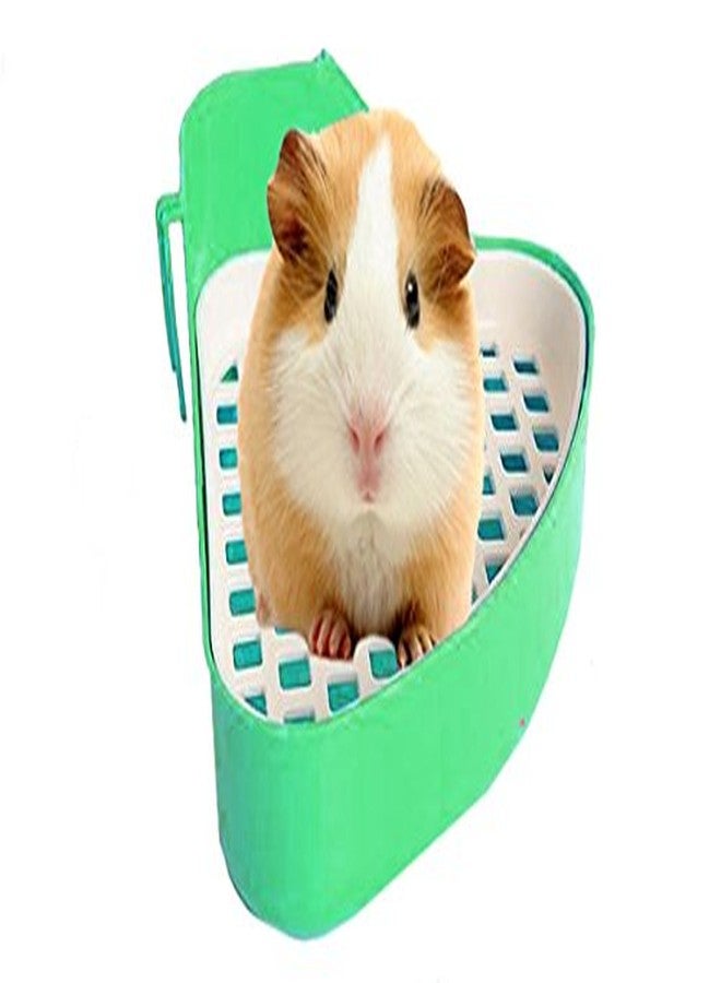 سايج سكوير صندوق فضلات كبير الحجم مع مغرفة لتدريب الأرانب/خنازير غينيا/النموس (لون عشوائي) - Image 3